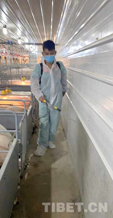 西藏青年說:他用八個月從技術員成長為(wéi)主管(guǎn)