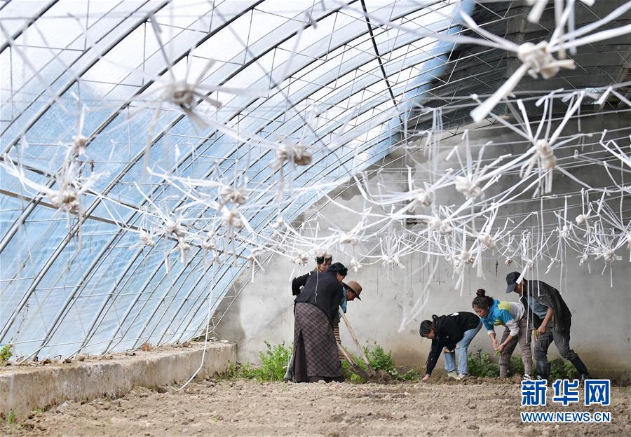 W020200814359598670676.jpg W020200814359598670676.jpg