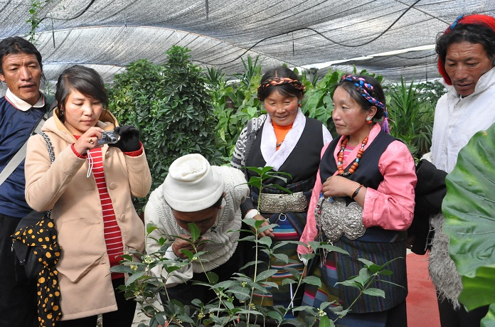 QQ截圖20161217195220.png QQ截圖20161217195220.png