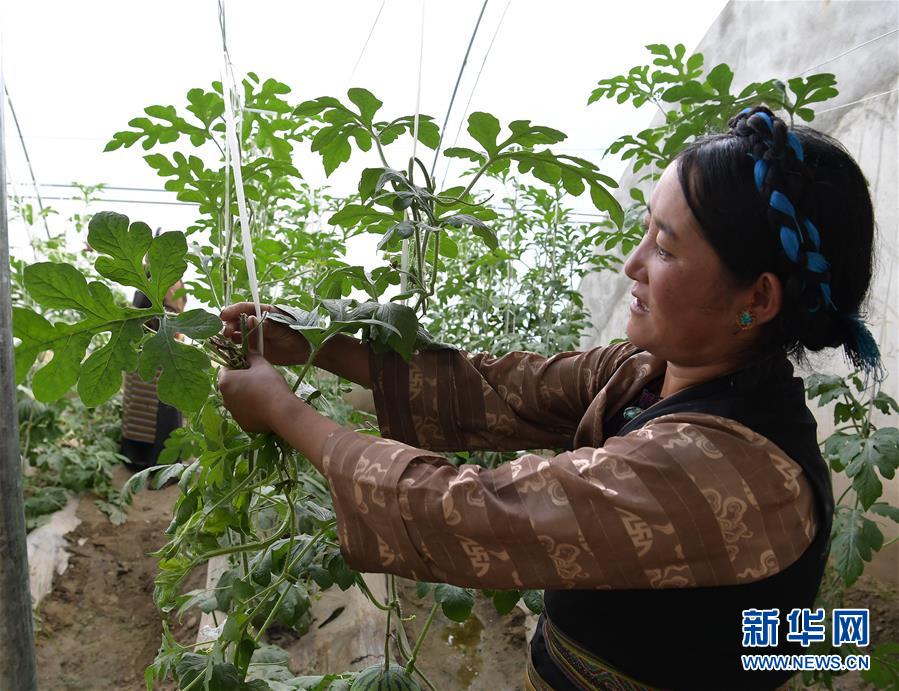 W020200814359598732036.jpg W020200814359598732036.jpg