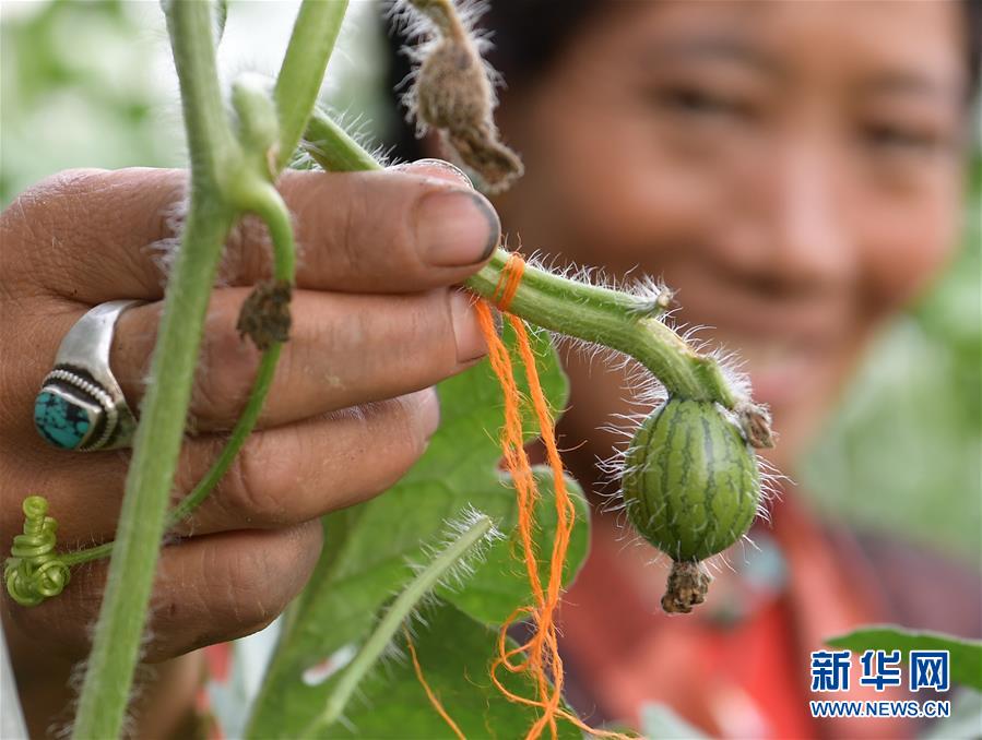 W020200814359598795430.jpg W020200814359598795430.jpg